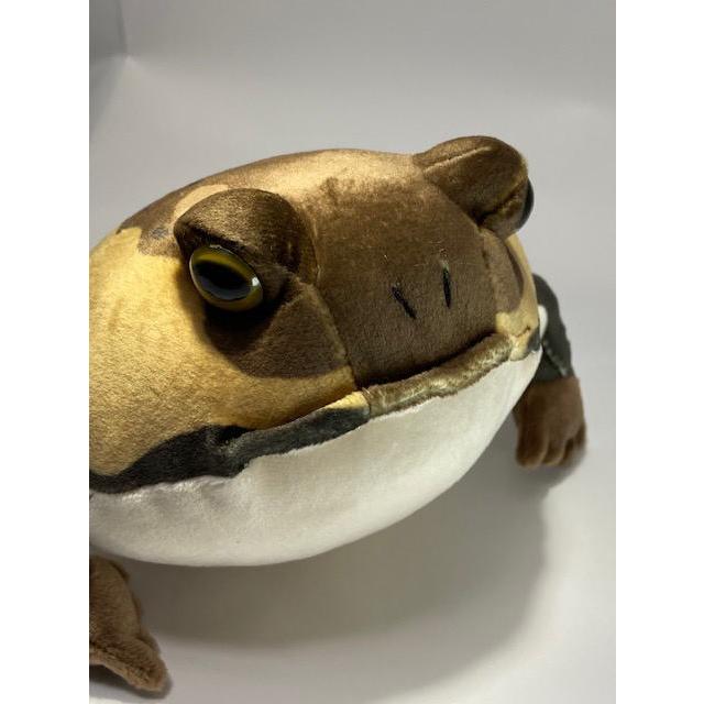 カエル Amazon.co.jp: 銭蛙 カエルの置物 カエル 金蟾摆件 かえる 置物