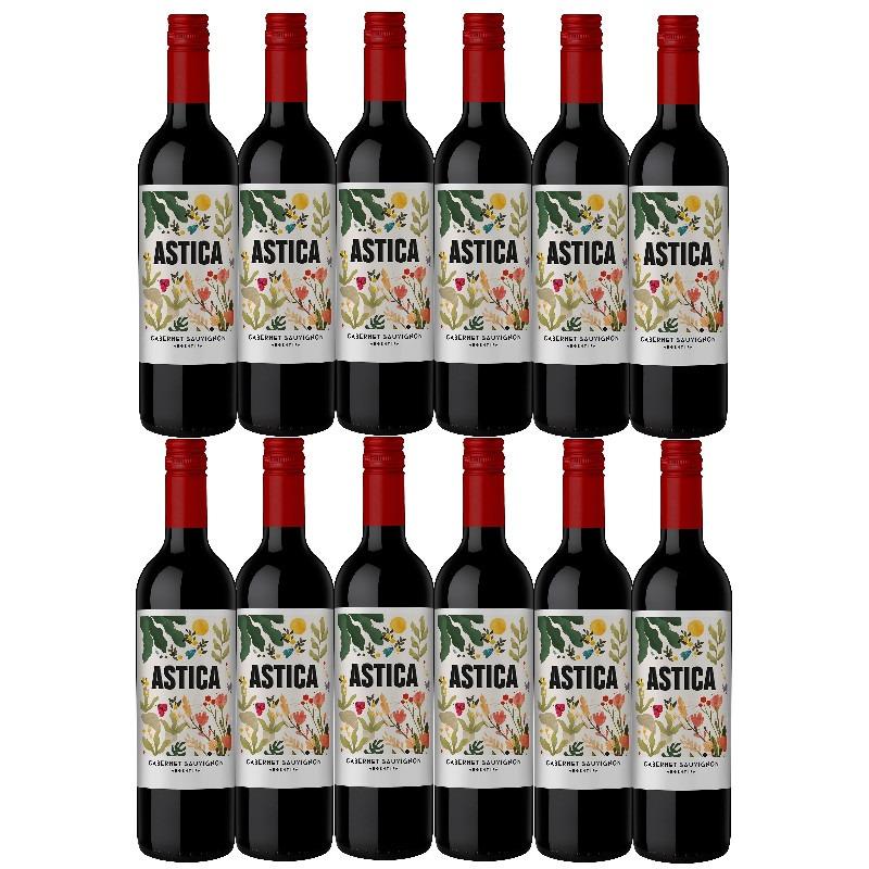 TRAPICHE 果実酒 【公式通販】