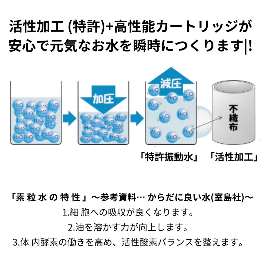 購入前確認必須】素粒水 アンダーシンク(ビルトイン)浄水器 交換