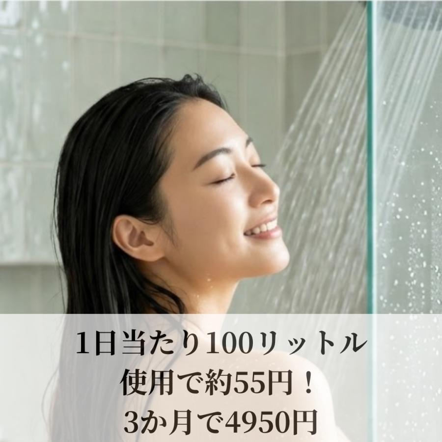 正規代理店】素粒水 シャワーヘッド セラピーシャワー PFOS PFOA除去