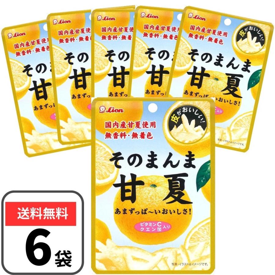 Lion（ライオン） そのまんま甘夏 25g ×6袋 ライオン菓子 あまなつ