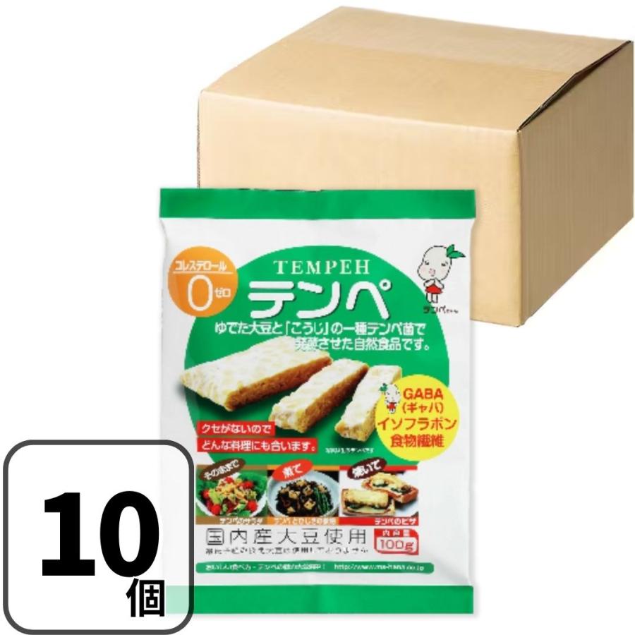 マルシン テンペ テンペ菌 100g×10袋 大豆発酵食品 インドネシア料理