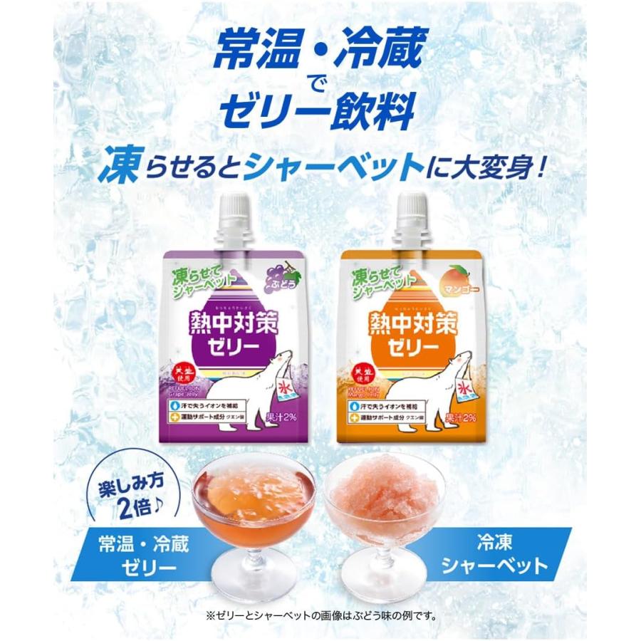 赤穂化成 熱中対策ゼリー 2種アソート 24個セット【マンゴー味 150g