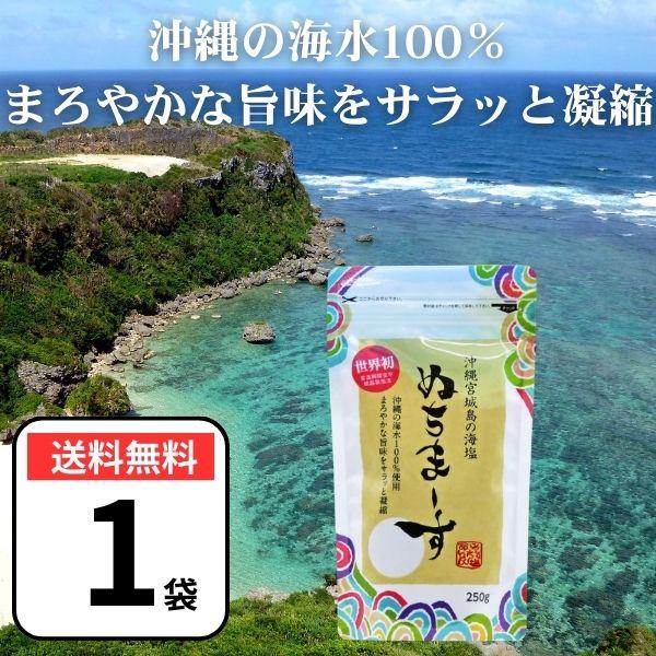 ぬちまーす 250g 塩 食塩 海塩 調味料 沖縄 宮城島 ミネラル豊富 添加