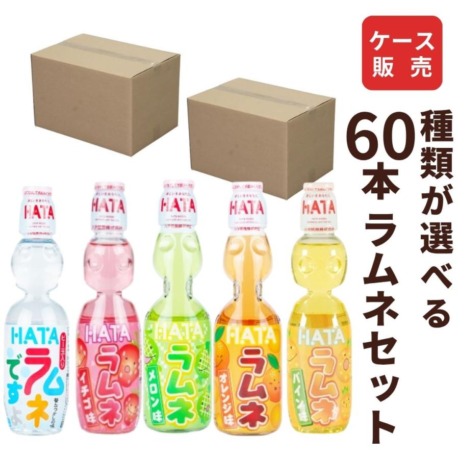 ハタ鉱泉 ラムネ ペットボトル 飲料 種類が選べる 250ml×60本セット