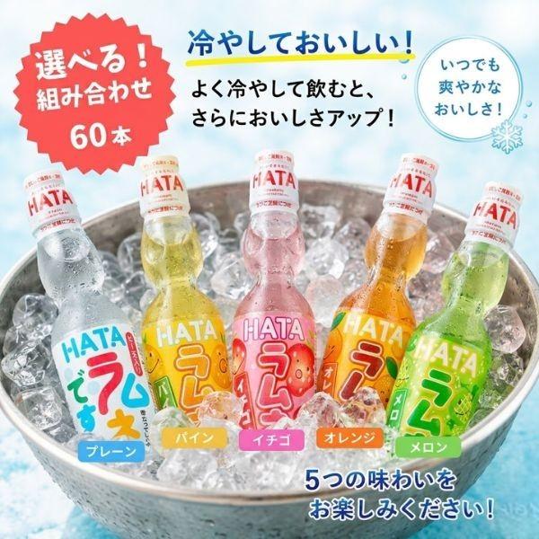 ハタ鉱泉 ラムネ ペットボトル 飲料 種類が選べる 250ml×60本セット