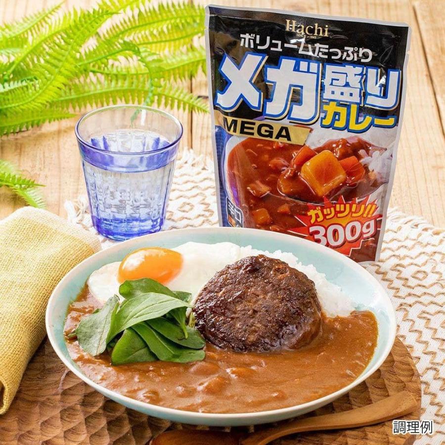 メガ盛り レトルトカレー メガ盛りカレー 大容量 10種 20食 保存食