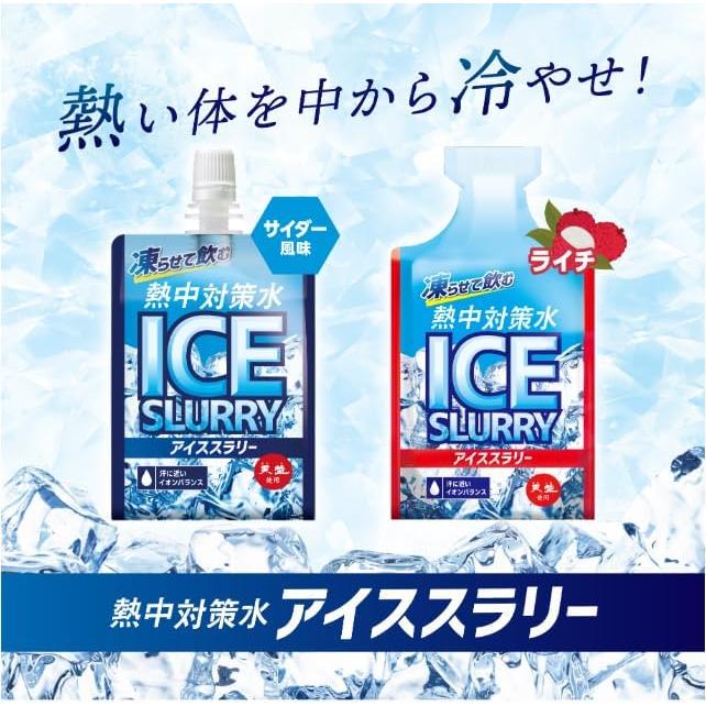 熱中対策水 ポイント消化 1000円 アイススラリー お試しパック ライチ