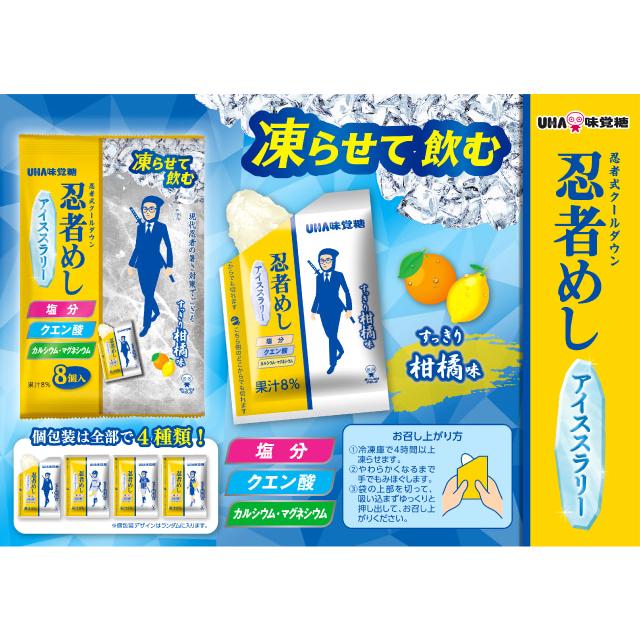 忍者めし アイススラリー 22g×16個 ポイント消化 忍者飯 UHA味覚糖