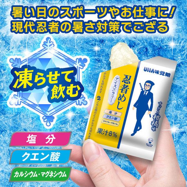 忍者めし アイススラリー 22g×16個 ポイント消化 忍者飯 UHA味覚糖
