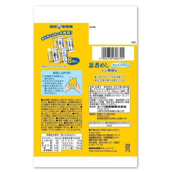 忍者めし アイススラリー 22g×16個 ポイント消化 忍者飯 UHA味覚糖
