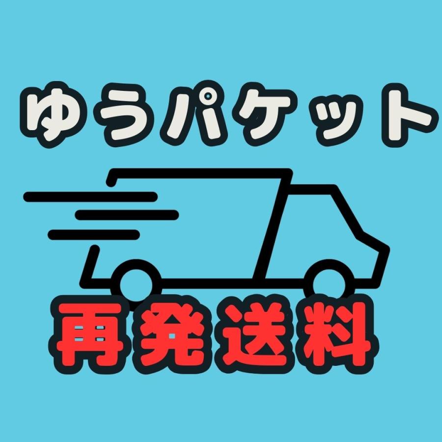 え@期限内ゆっくり発送  ゆうパケット再発送料】※宛名不完全・保管期限超過で返還されてしまっ