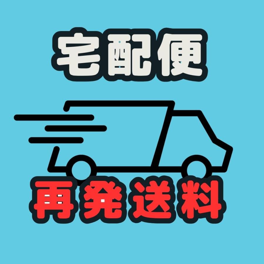 宅配便再発送料】※宛名不完全・保管期限超過で返還されてしまった宅配