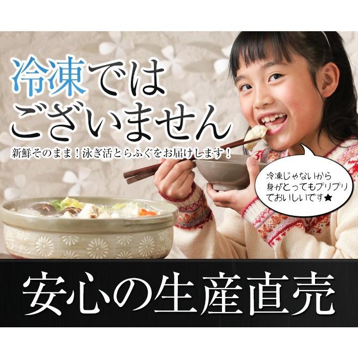 特選フルコースセット 豪華10点盛りふぐ鍋・ふぐ刺身・白子入り(5〜6人前) 淡路島3年とらふぐ 若男水産 ふぐ セット お取り寄せグルメ ふぐ 鍋 ふぐ刺し_2