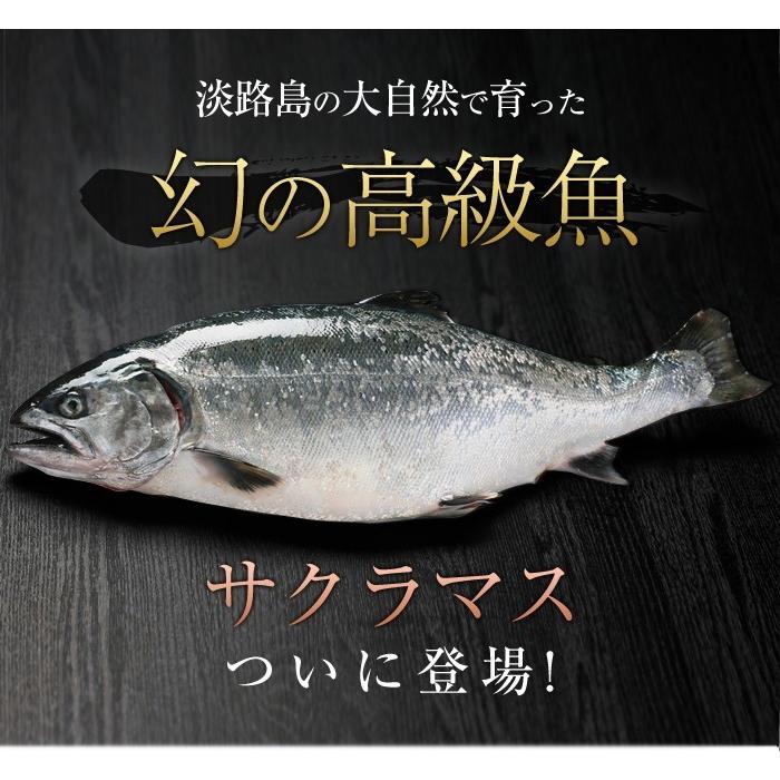 極上とろける食感！淡路島で育った【淡路島サクラマス／冷凍】600g