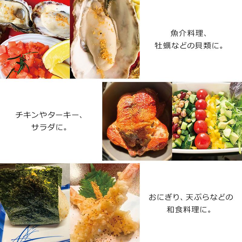 The Ultra Umami Spice 調味料 万能 スパイス 味付け 簡単 手抜き 料理 キャンプ アウトドア q 100g Theultraumamispice100g 3ocean 通販 Yahoo ショッピング