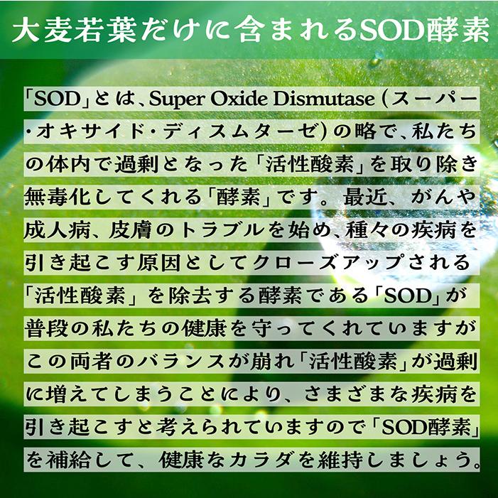 おなかにやさしいオリゴ糖入「青汁」大麦若葉+ケール+ゴーヤ無着色   48箱 オリゴ糖青汁 3g×30包 おなかにやさしいオリゴ糖入青汁 大麦若葉