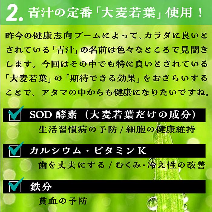 オリゴ糖青汁 3g×30包 おなかにやさしいオリゴ糖入青汁 大麦若葉青汁