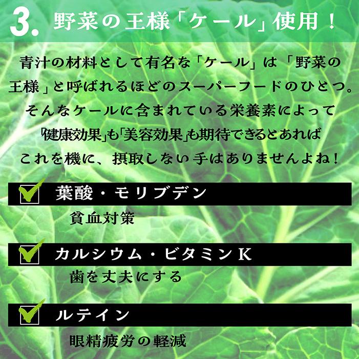 おなかにやさしいオリゴ糖入「青汁」大麦若葉+ケール+ゴーヤ無着色   48箱 オリゴ糖入青汁 3箱セット 3g×30包 おなかにやさしい オリゴ糖