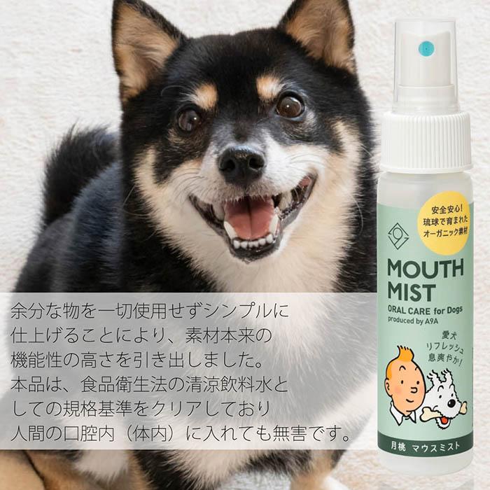 【オーガニックケアブランド A9A】A9A for Dogs 月桃マウスミスト 50ml 愛犬 天然オーガニックハーブ100% 月桃 搾汁液蒸留法 有機JAS認定 |  | 04