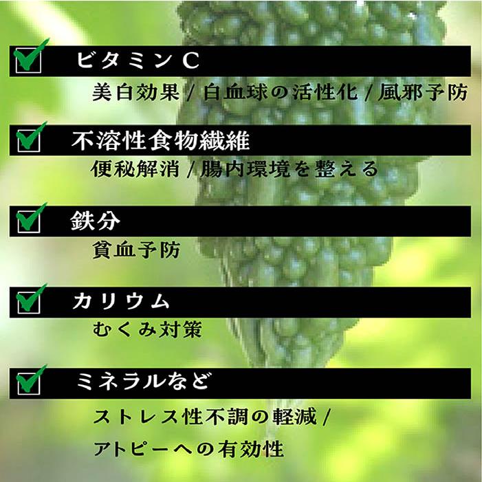 オリゴ糖入青汁 3箱セット 3g×30包 おなかにやさしい オリゴ糖 日本製