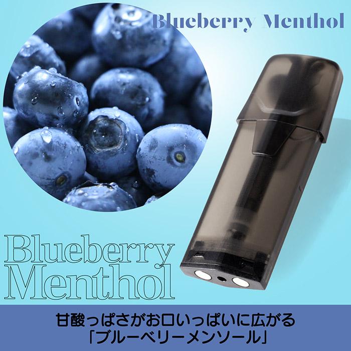 DR.STICK BLUE MENTHOL ブルーベリー