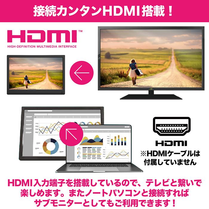 ポータブルテレビ 19インチ 地デジ録画機能 2WAY 3電源対応 地デジ