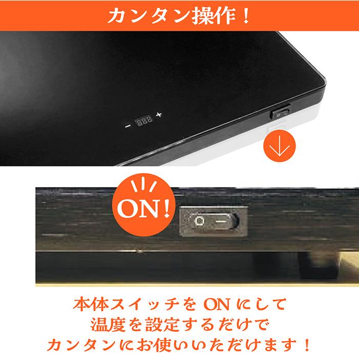 ホットプレート 保温プレート フードウォーマー THERMO ビュッフェ
