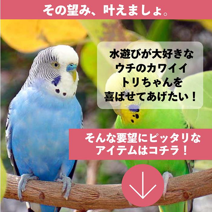 バードバス 鳥 水浴び容器 バスタブ インコ 文鳥 小鳥用 水浴び 鳥用シャワー 電動シャワー付き 水浴びケース 水遊び お風呂型 自動シャワー シャワー ペット 鳥｜3point｜02