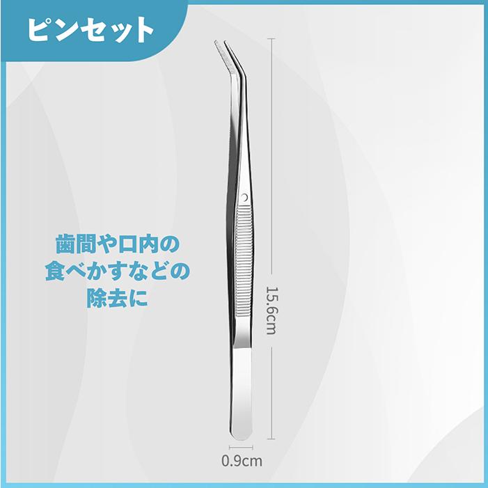 送料無料 】スケーラー 5点セット デンタルケア ケース付き 男女兼用