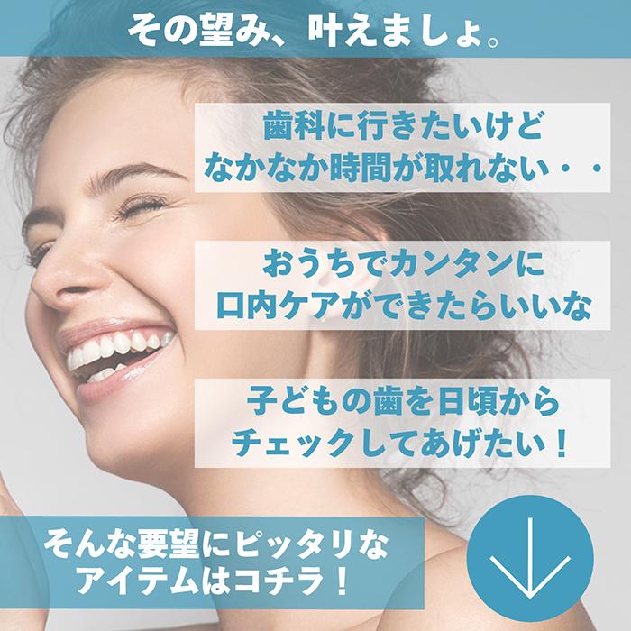 送料無料 】スケーラー 5点セット デンタルケア ケース付き 男女兼用