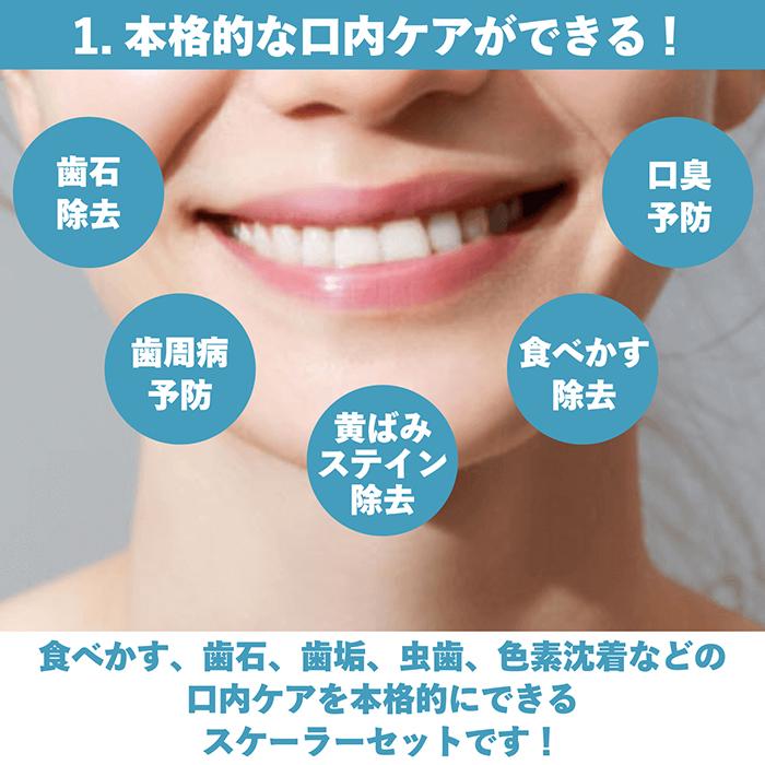 送料無料 】スケーラー 5点セット デンタルケア ケース付き 男女兼用
