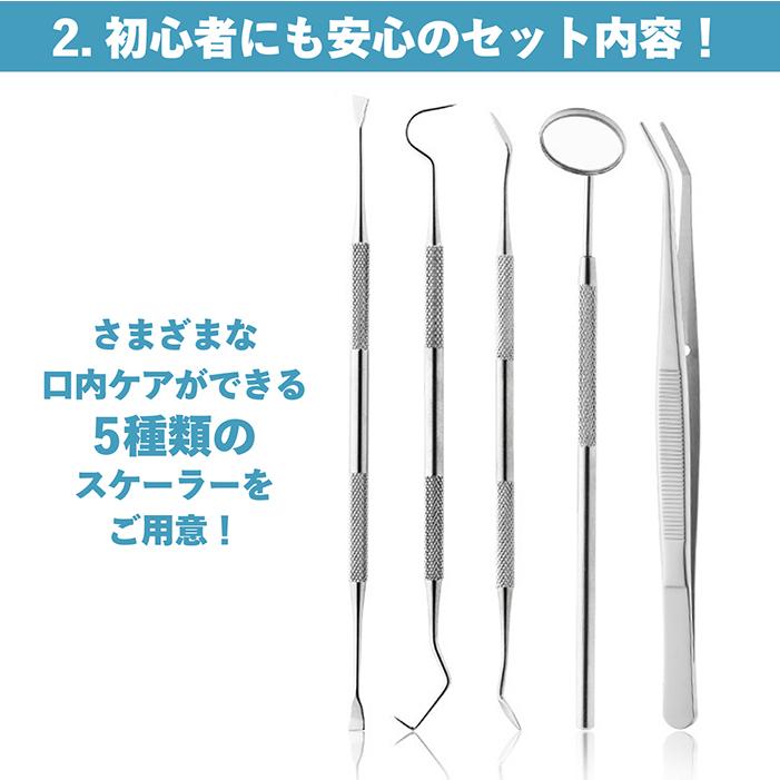 送料無料 】スケーラー 5点セット デンタルケア ケース付き 男女兼用