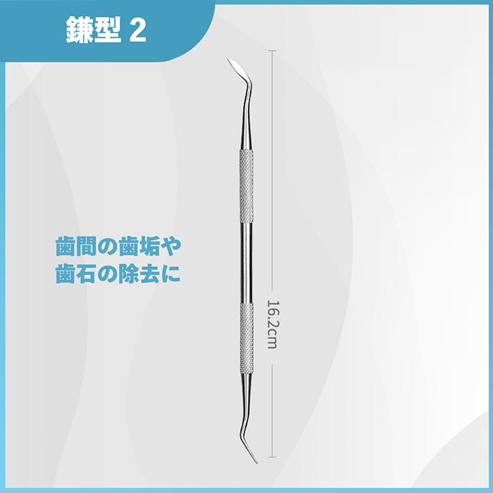 送料無料 】スケーラー 5点セット デンタルケア ケース付き 男女