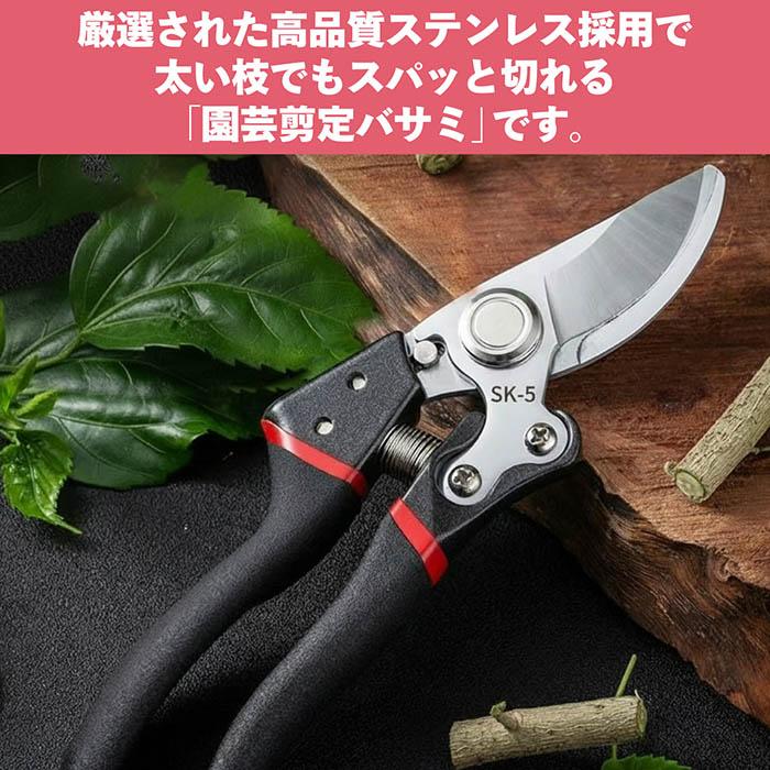 剪定ばさみ ハサミ 枝切りバサミ 剪定はさみ シルバー 植木ばさみ 握り