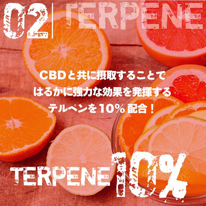 TERPENE CBDリキッド 高濃度 CBD60%配合 テルペン10%配合 10ml
