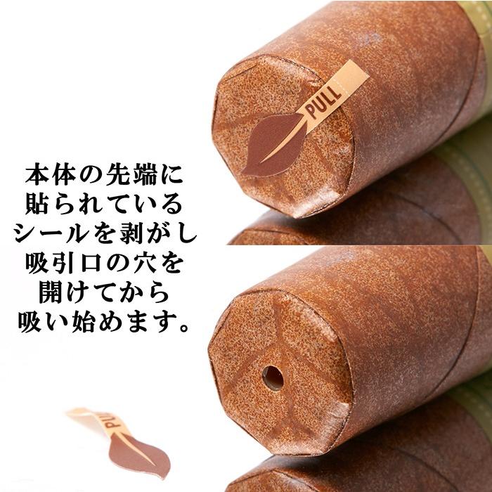 電子タバコ 葉巻タイプ 電子たばこ 使い捨て電子タバコ DANDY＆SEXY