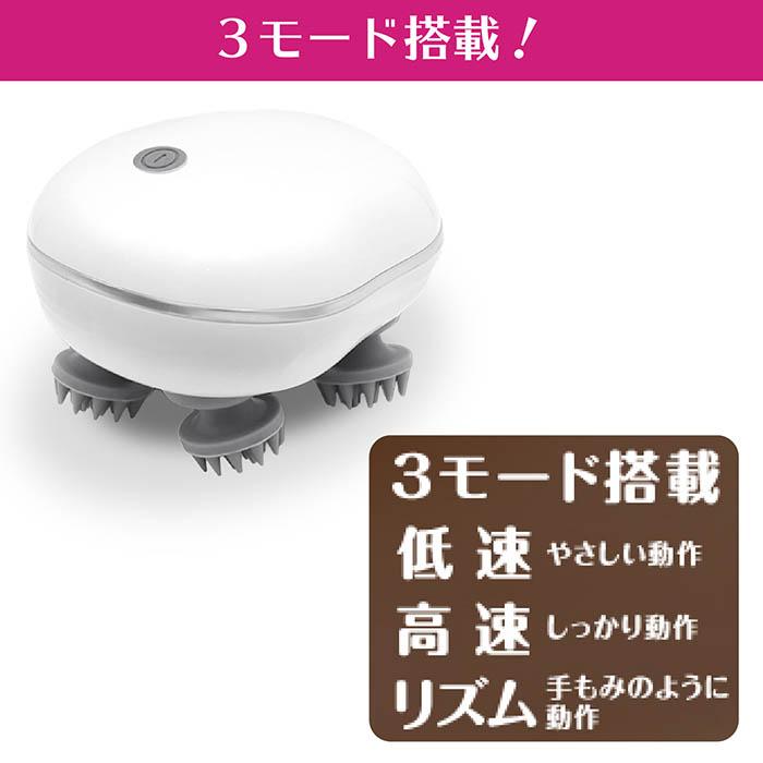 ヘアケアブラシ ピュアスカルプケア USB充電 4つの電動シリコンブラシ