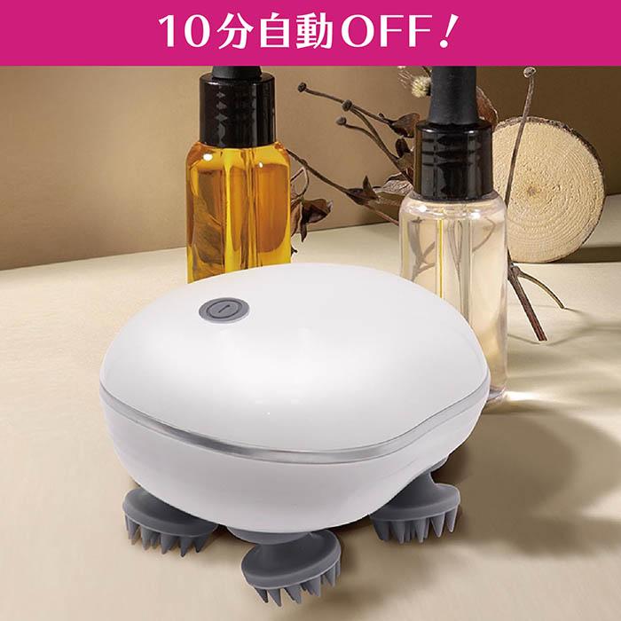 ヘアケアブラシ ピュアスカルプケア USB充電 4つの電動シリコンブラシ