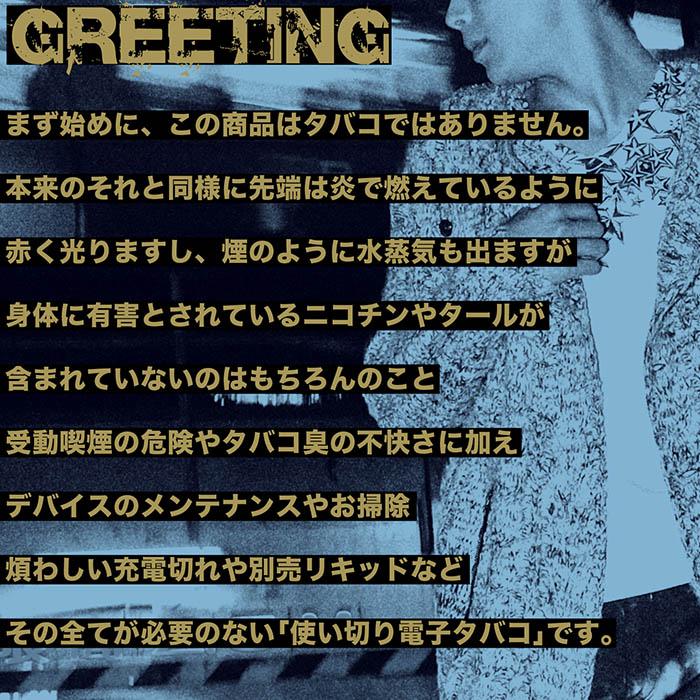 累計販売数18万本突破！電子タバコ 電子たばこ 使い捨て 電子タバコ ニコチン0 タール0 水蒸気 ZEROSTICK ゼロスティック 18フレーバー メンソール感約3倍 |  | 02