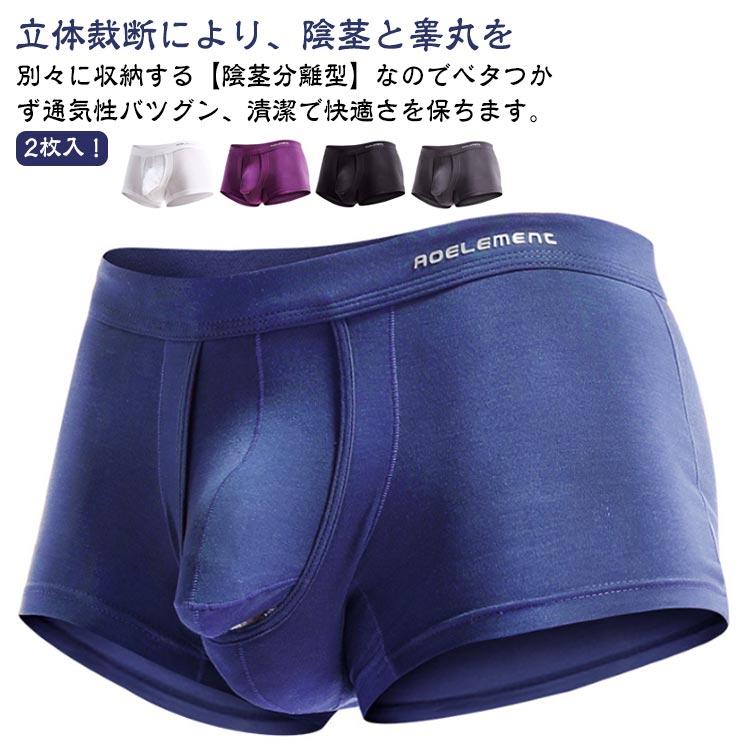 下向き 2枚セット ボクサーパンツ アンダーウェア パンツ セクシー