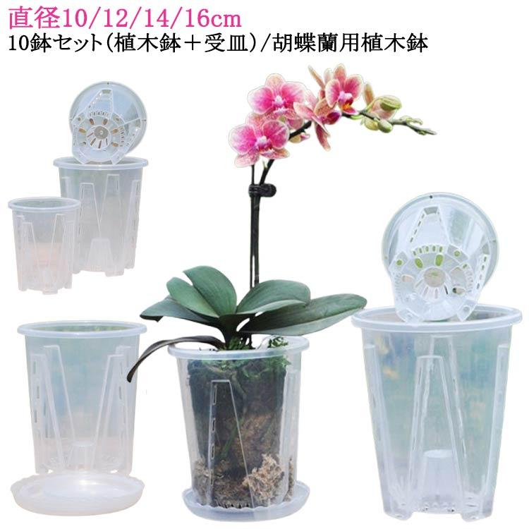 胡蝶蘭の植え替え プラスチック 胡蝶蘭鉢 屋外 植木鉢 穴付き 蘭 胡蝶蘭の植え替え プラスチック 胡蝶蘭鉢 屋外 植木鉢 穴付き 蘭