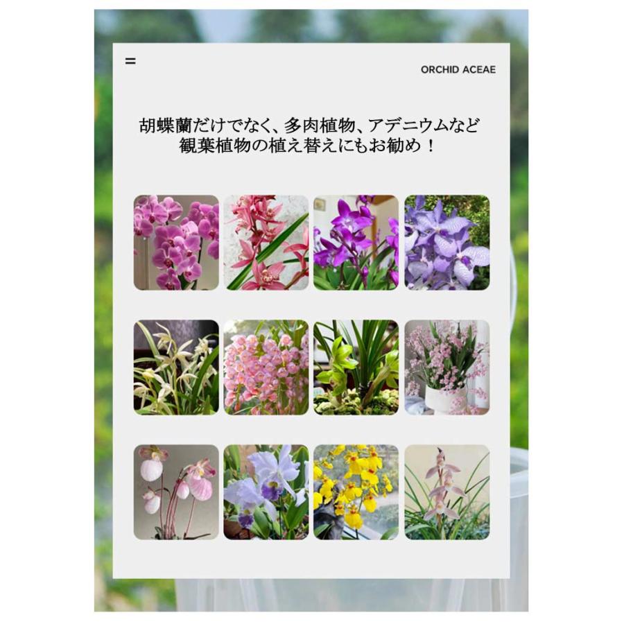 胡蝶蘭の植え替え プラスチック 胡蝶蘭鉢 屋外 植木鉢 穴付き 蘭 胡蝶蘭の植え替え プラスチック 胡蝶蘭鉢 屋外 植木鉢 穴付き 蘭