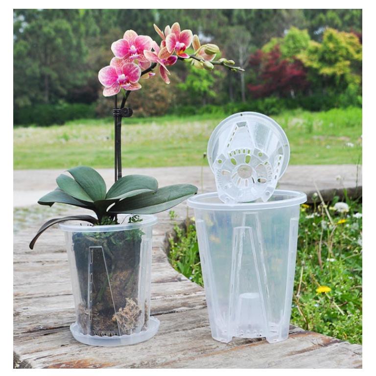 胡蝶蘭の植え替え プラスチック 胡蝶蘭鉢 屋外 植木鉢 穴付き 蘭 胡蝶蘭の植え替え プラスチック 胡蝶蘭鉢 屋外 植木鉢 穴付き 蘭