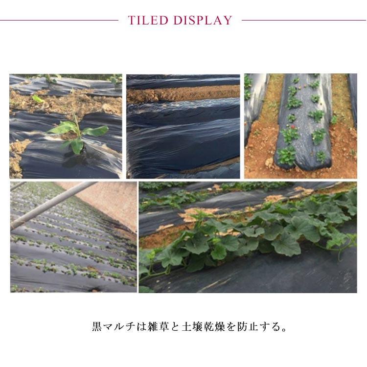 MS1101【完全未使用】防草シート 小泉製麻 楽ちんシート 園芸 農業 家庭菜園 ビニールハウス 100m 黒×黒 ルンルンシート（黒×黒・白×黒） 防草シート イノチオアグリで購入