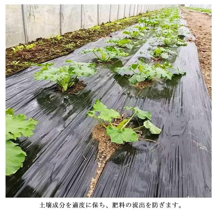 ビニールハウス 雑草対策 農業用ビニール 雑草防止シート マルチ 厚さ