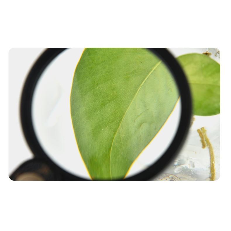 ルーペ 拡大鏡 10倍 携帯 |  | 03