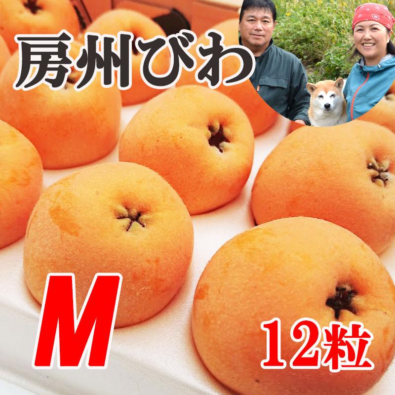 農家おばさんの美味しいびわからとれた種　7.5キロ大容量 6月上〜中旬発送 送料無料『房州びわ/枇杷 Mサイズ12個入り』南房総市