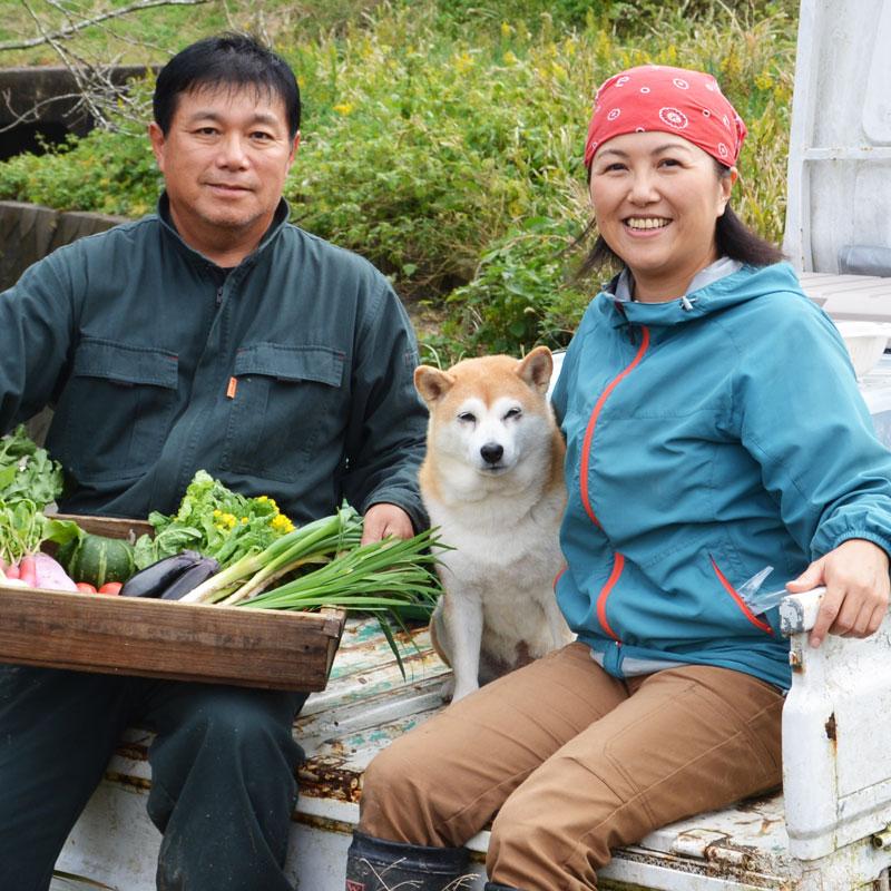 6月上〜中旬発送 送料無料『房州びわ/枇杷 Mサイズ12個入り』南房総市