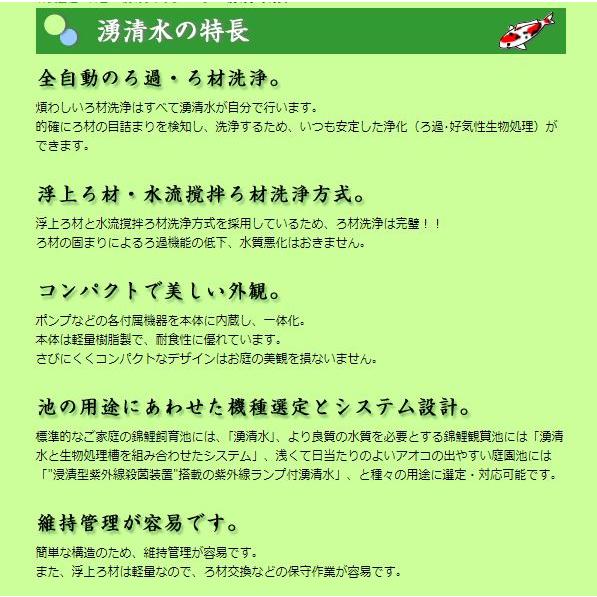 （株）石垣 湧清水 97-10型(IW-10-2型) 50Hz 代引不可 ※　個人宅への発送不可商品　定価935000円 |  | 07